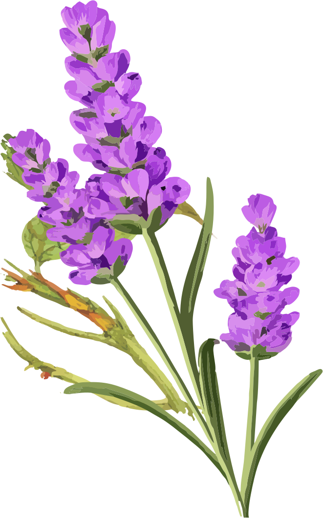 Flor Decorativa